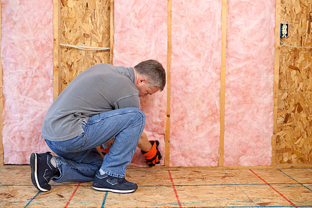 Best Basement Insulation  in Valparaiso, FL